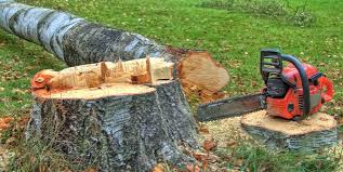 Best Lot and Land Clearing  in Aptos Hills Larkin Valley, CA