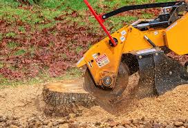 Best Tree Cabling and Bracing  in Aptos Hills Larkin Valley, CA