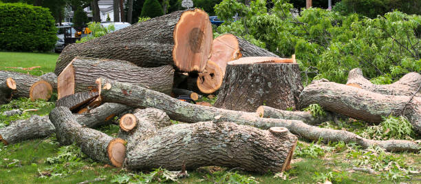 Best Utility Line Clearance  in Aptos Hills Larkin Valley, CA